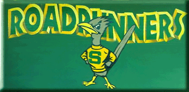 Saddleback High School logo
